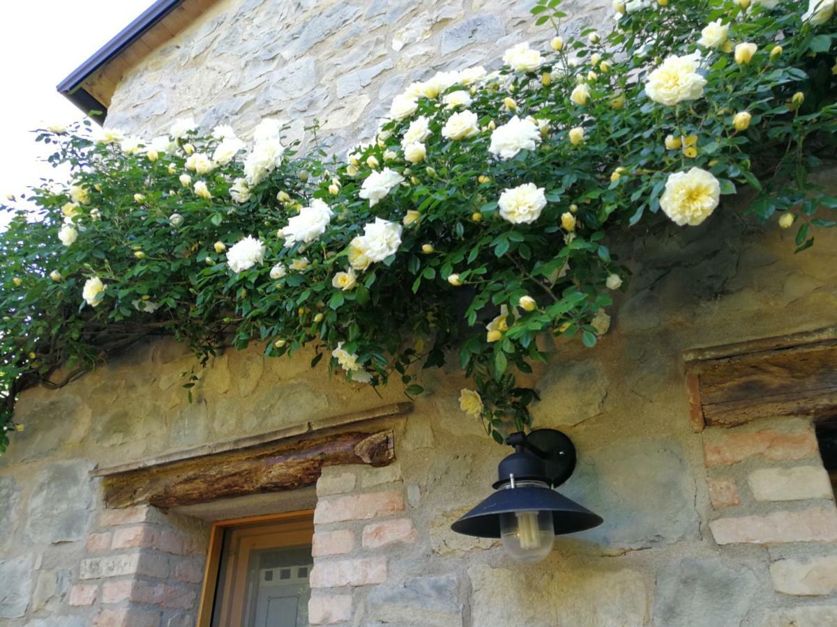 Ca Di Minu Villa Tarzo Exterior photo